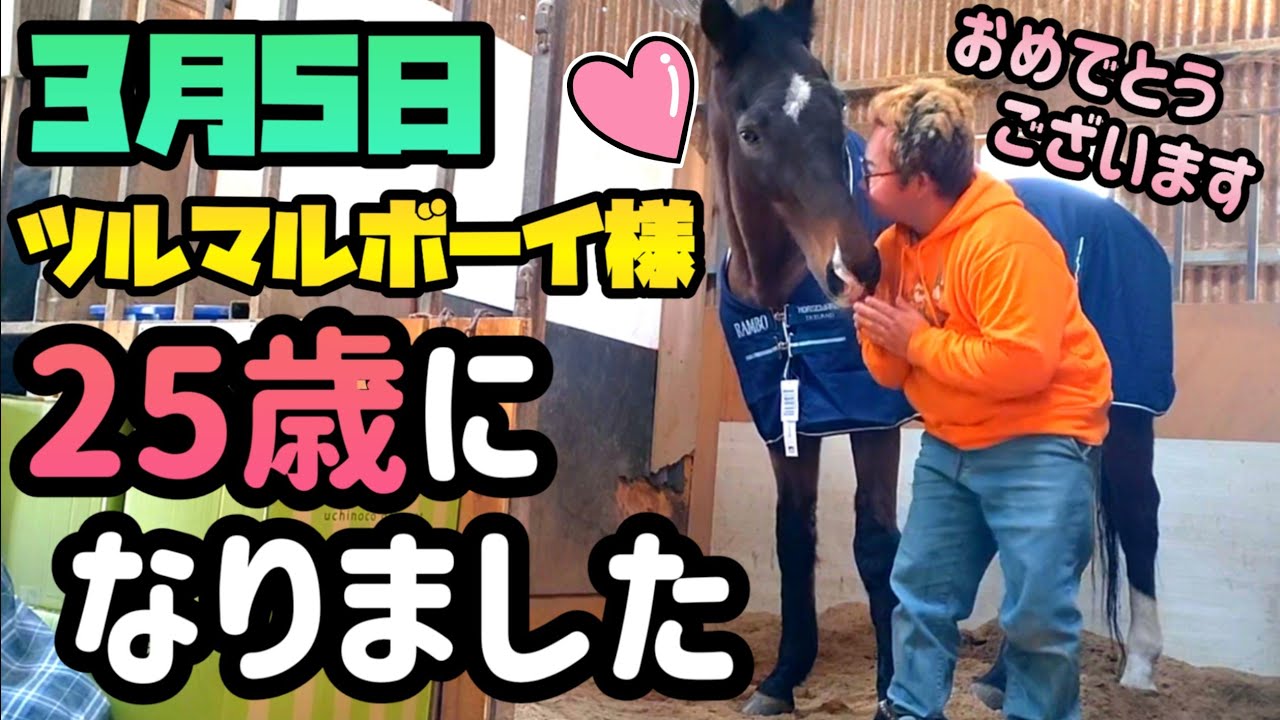 25歳になったG1馬ツルマルボーイ様に沢山のプレゼントが届いたようです。いつもは言えないツルマルボーイ様への本音も語ります。【ツルマルボーイ様のシモベ】