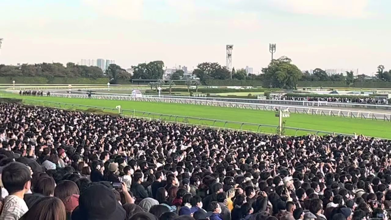 天皇賞（秋）2022.10.30  大逃げのパンサラッサVS豪脚のイクイノックスに大興奮！