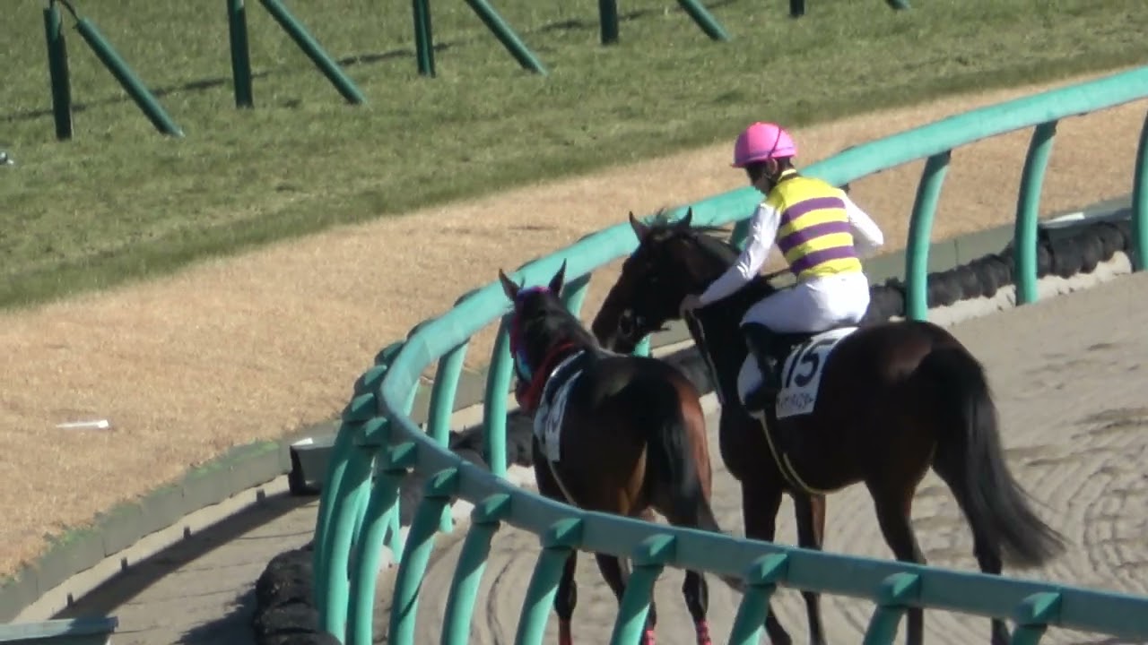 【放馬】自由になった馬を捕まえに行く野中悠太郎 騎手 現地映像