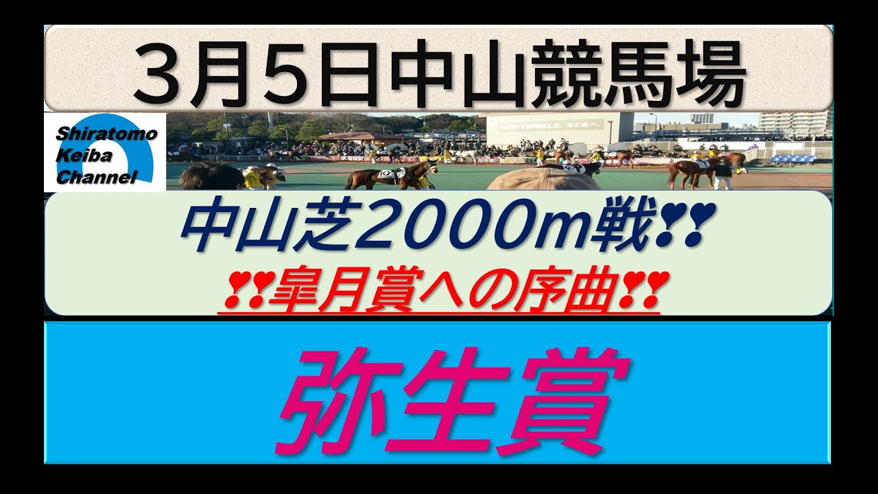 【競馬予想】GⅡ弥生賞　皐月賞へ！～2023年3月５日 中山競馬場 ：３－７