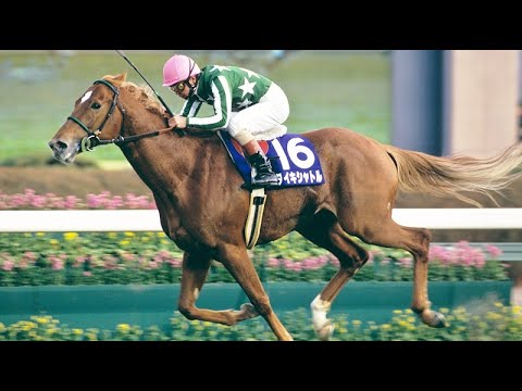 『余裕の競馬！文句なし！』第31回スプリンターズS(G1)　芝右 外1200m 　タイキシャトル　牡4 55 岡部幸雄　1997.12.14　　出走馬：フラワーパーク 、キョウエイマーチ他