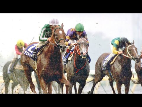 『もう日本に敵はありません！』第48回安田記念(G1)　芝左1600m  タイキシャトル 牡5　58　岡部幸雄　1998.6.14　　出走馬：シーキングザパール 、イシノサンデー、ブラックホーク他