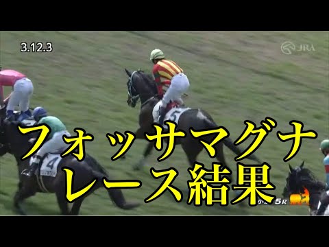 2/11 小倉5R 4歳以上障害オープン レース結果【フォッサマグナ】