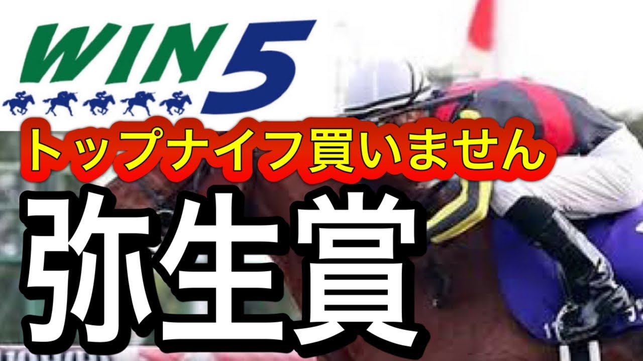 WIN5予想2023年弥生賞・大阪城Ｓ・総武Ｓ・戎橋Ｓ・湾岸Ｓ