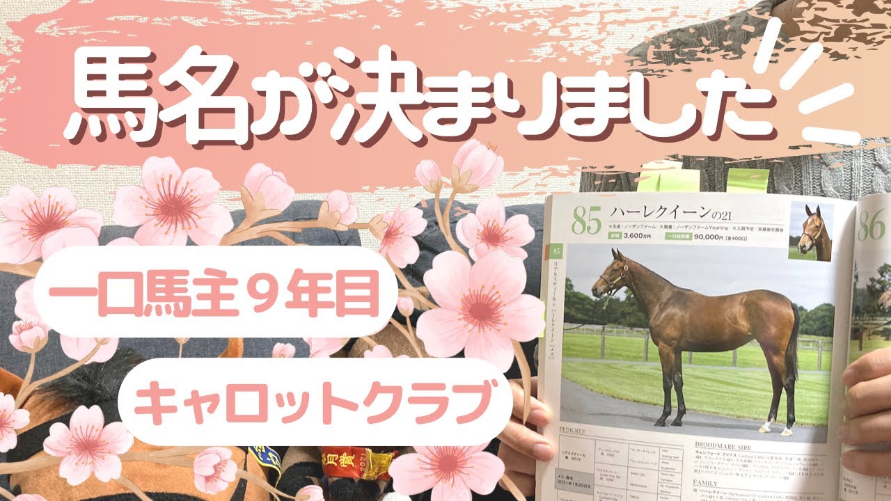 【６４日目】出資馬の馬名決定！目指せクラシック！5歳愛馬レベランスのレース結果も！