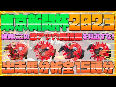 【東京新聞杯2023】あの人気馬に"不安要素あり"⁉︎G1級豪華メンバー相手に下剋上果たす穴馬を見つけ出せ‼︎出走予定馬15頭分徹底分析‼︎
