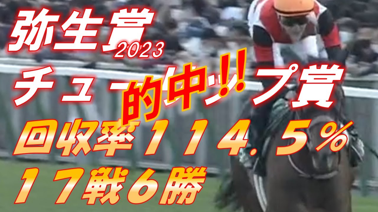 弥生賞・【的中370％回収‼】チューリップ賞2023　予想　17戦6勝　回収率114.5％！　クール100％超はここで決める！　元馬術選手のコラム【競馬】