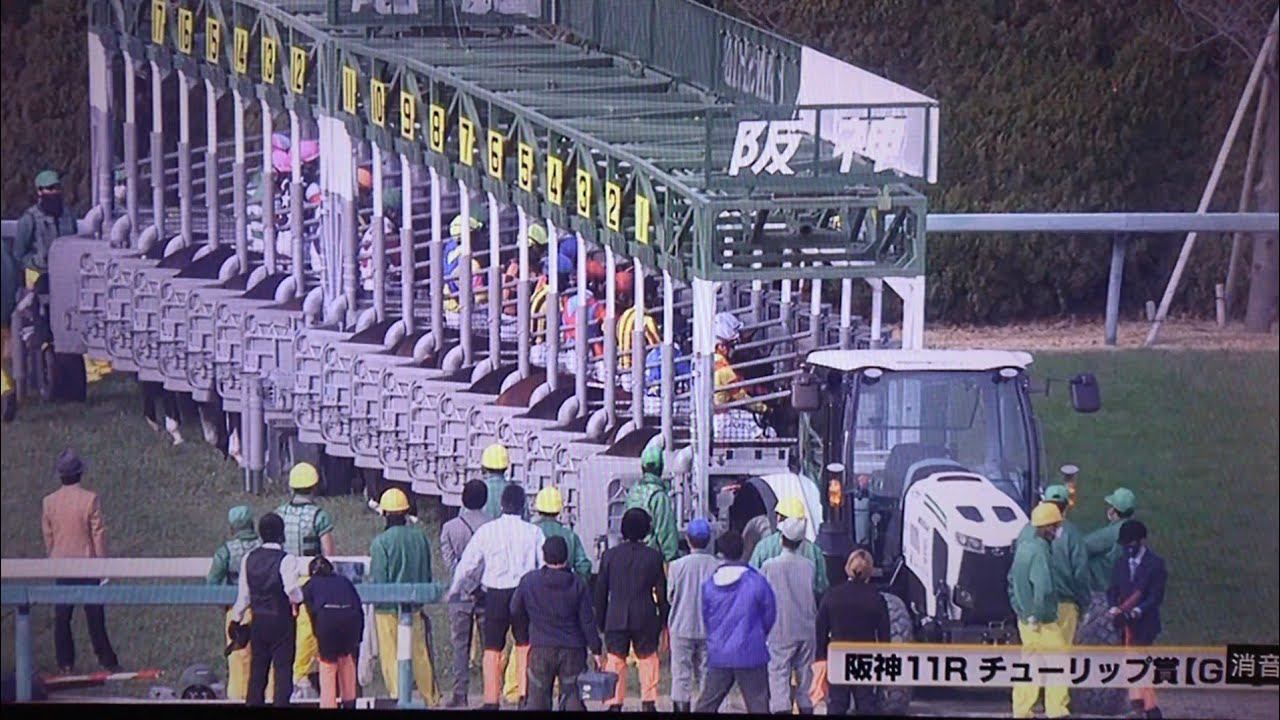 【素人競馬実況】2023 第30回チューリップ賞(G2・桜花賞トライアル)