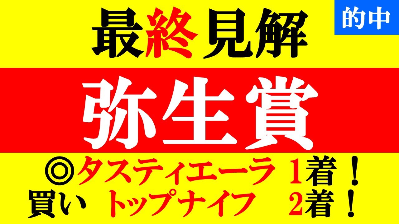 【弥生賞 最終見解 2023】混戦の牡馬クラシック前哨戦！本命は権利必須のアノ馬だ！！