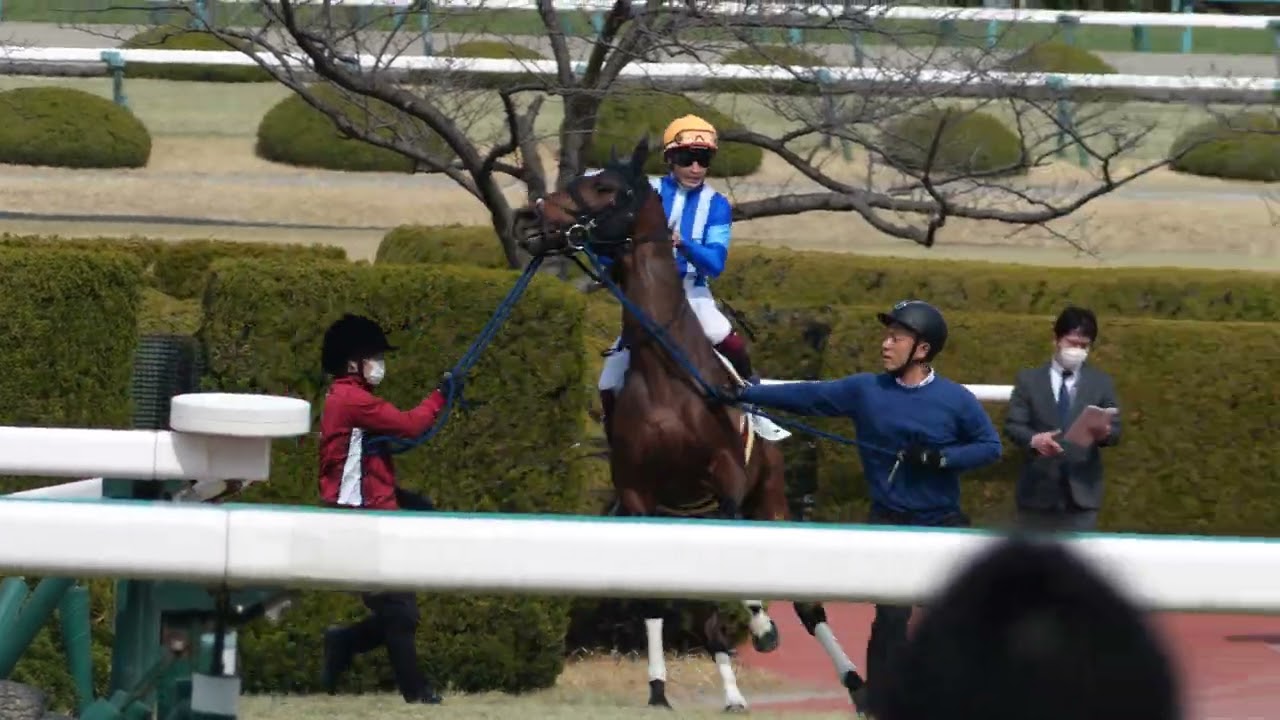 【暴れ馬】富田暁騎手を振り落とそうと暴れるナチュラルリバー