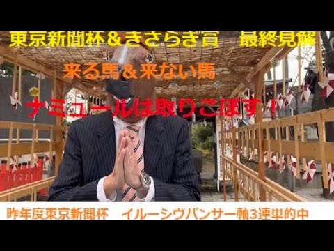 東京新聞杯＆きさらぎ賞最終見解❗️昨年度3連単的中🎯#追い切り #万馬券  #競馬予想 #穴馬#ナミュール #ジャスティンカフェ #マテンロウオリオン #ピンハイ　#東京新聞杯 #きさらぎ賞