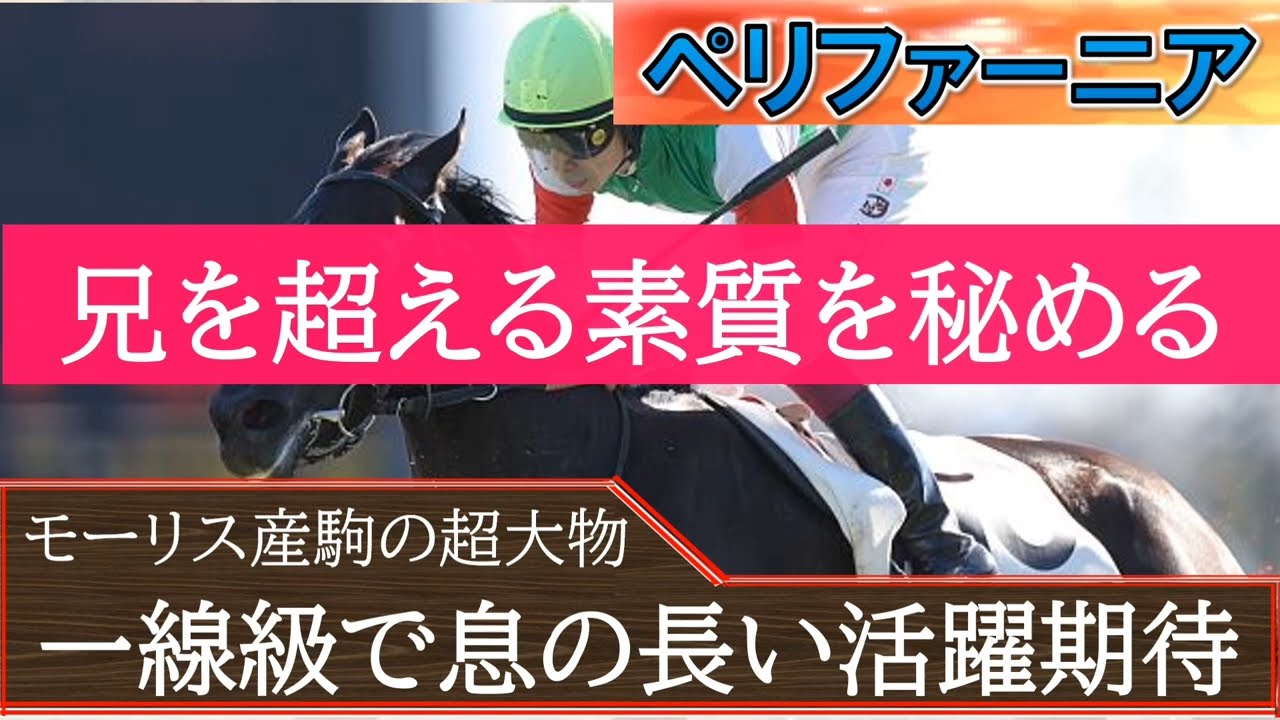 【超良血】兄エフフォーリアの「ペリファーニア」血統見れば兄を超える素質があると感じさせる。期待値が相当大きい馬、古馬になってからの活躍にも期待