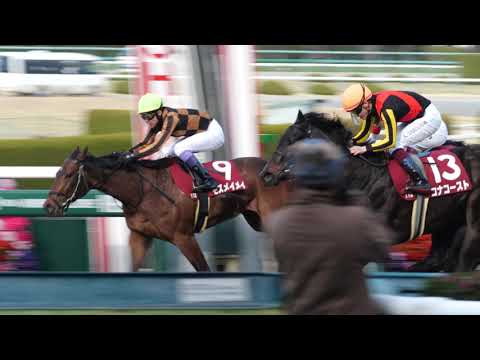 【武豊】チューリップ賞 2023 モズメイメイ引きつけた逃げでコナコーストの猛追を凌ぎ重賞初制覇！武豊騎手は今年重賞3勝目