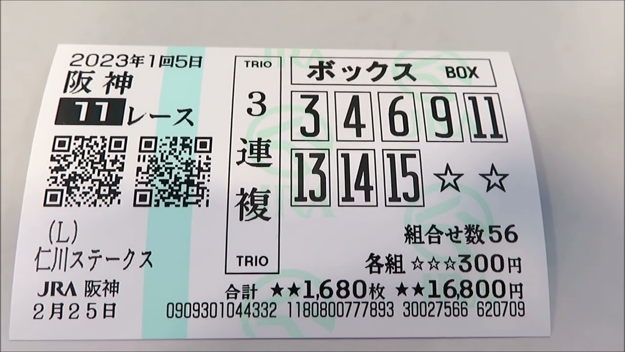 でけたぁ～の先生　阪神競馬場勝負６
