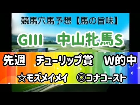2023　GⅢ　中山牝馬S【馬の旨味】本命&穴馬予想