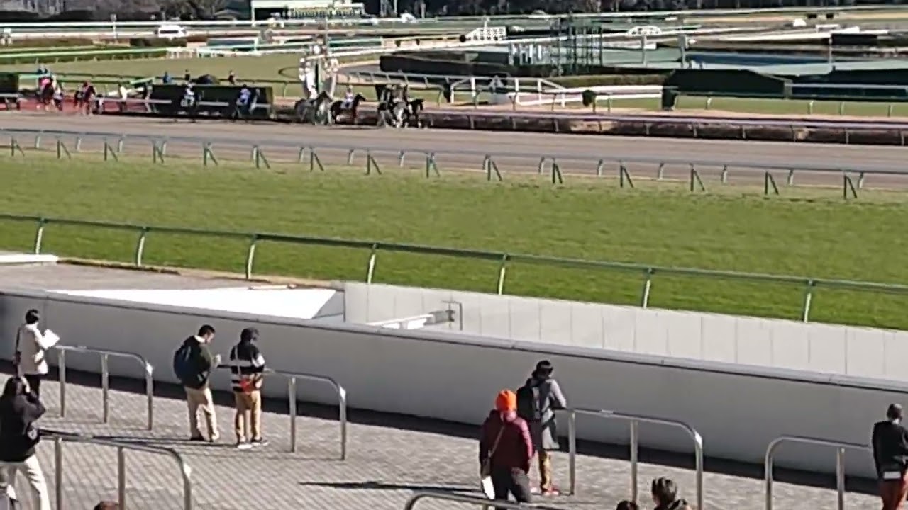 中山競馬場本馬場入場新年恒例挨拶