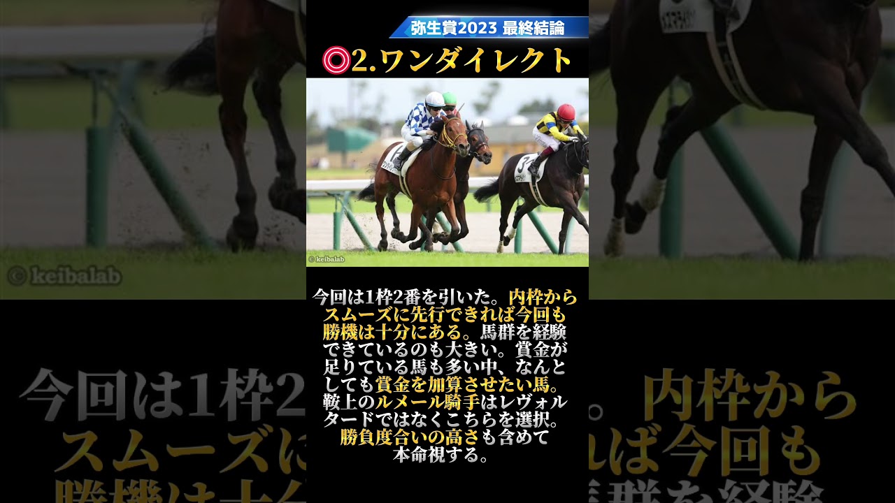 弥生賞2023 最終結論・買い目発表！皐月賞へ向けて抜け出す馬は現れるか？！