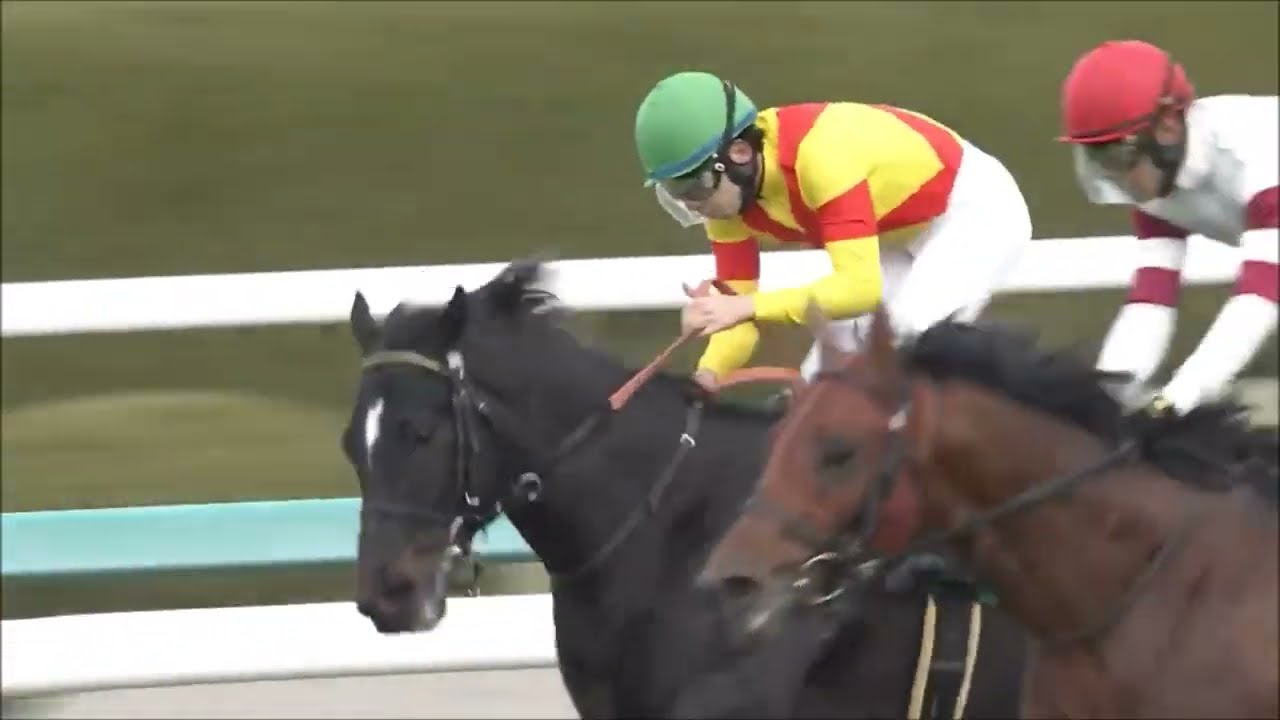 第67回阪急杯(G3)　芝右1400m 　アグリ　 牡4　57　横山和生　2023.2.26　　出走馬：ダディーズビビッド、ホウオウアマゾン、グレイイングリーン、グレナディアガーズ他