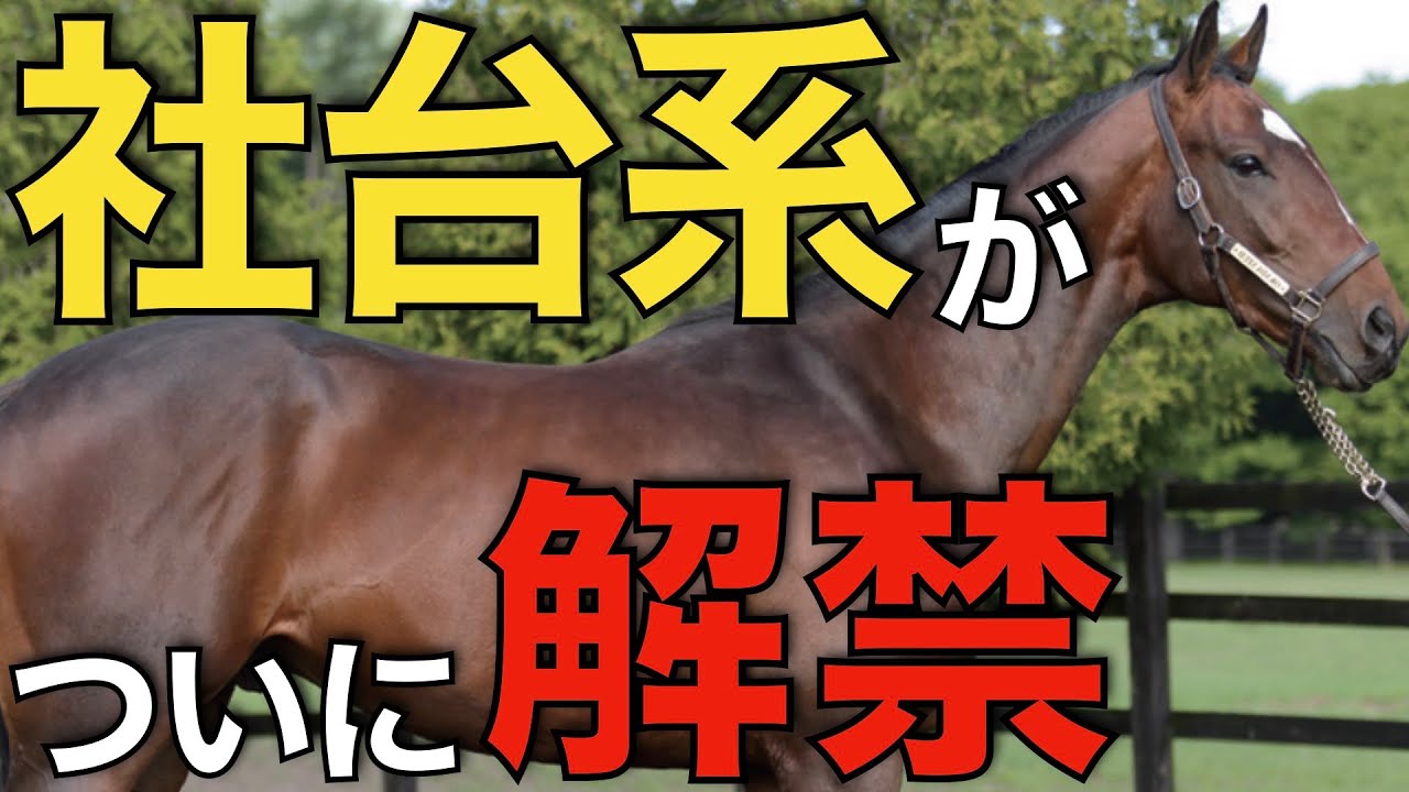 【大きすぎる】社台系クラブ馬がついに解禁へ！ウマ娘に2つの衝撃展開。