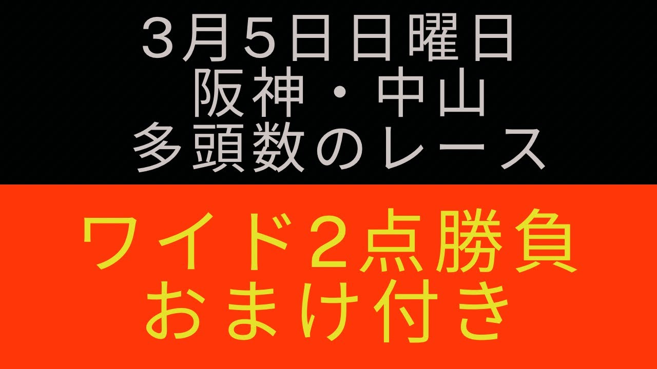 ［日曜日競馬］ワイドチャレンジと弥生賞とWIN５の予想　　#競馬 #競馬予想 #ワイド #弥生賞