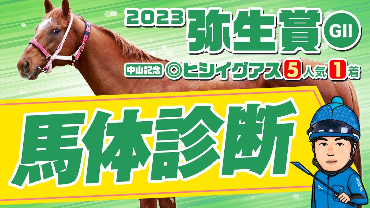 【弥生賞 2023】先週は◎イチオシ馬が5番人気1着！クラシック前哨戦を制するのはこの馬体だ！某大手牧場の元スタッフが見抜く重賞馬体診断！重賞フォトパドック【競馬 予想】