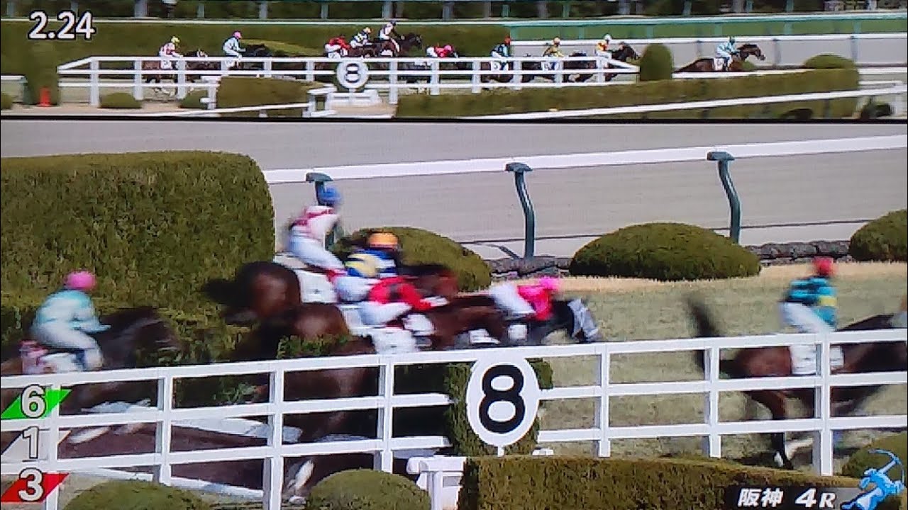 阪神4レース障害未勝利 セルリアンルネッタ
