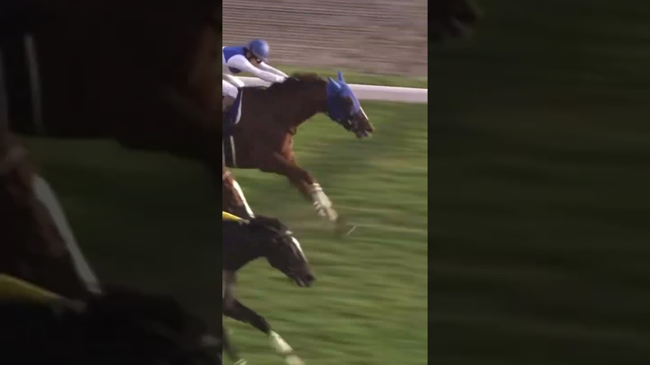 【競馬】名勝負 138回天皇賞 秋 ウォッカvsダイワスカーレット