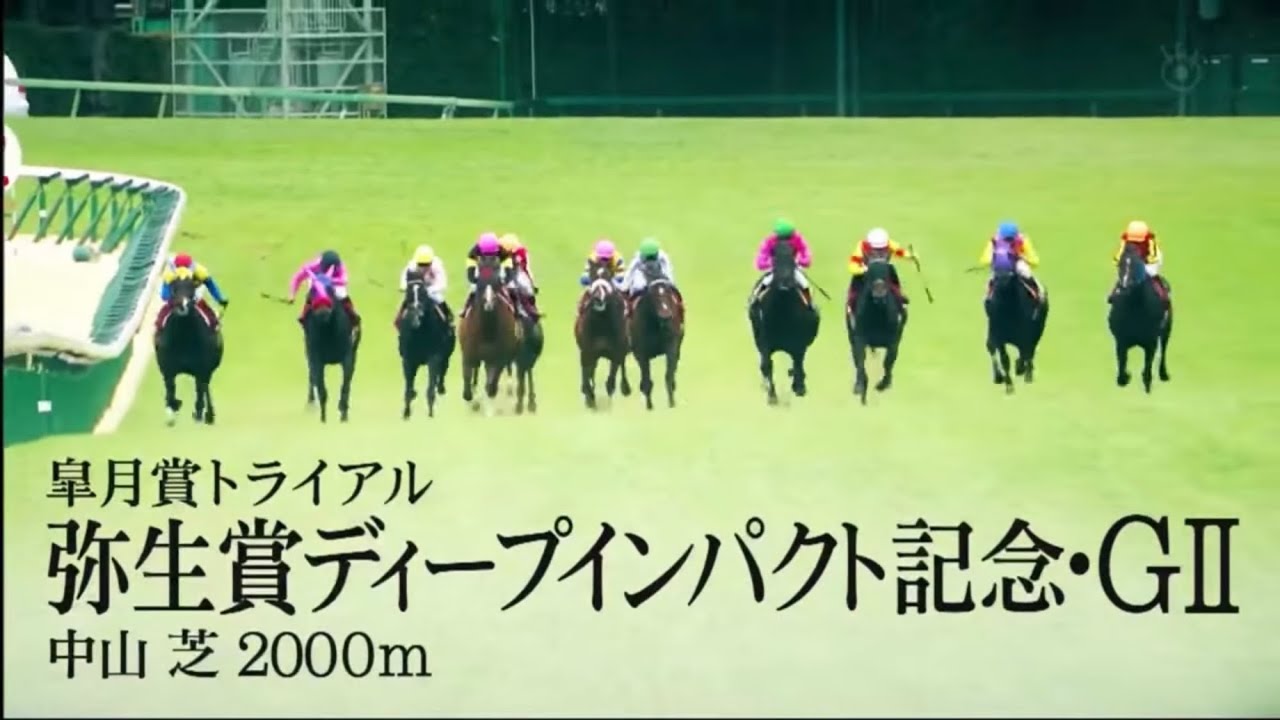 2023年｜第60回 弥生賞ディープインパクト記念・GⅡ｜タスティエーラ