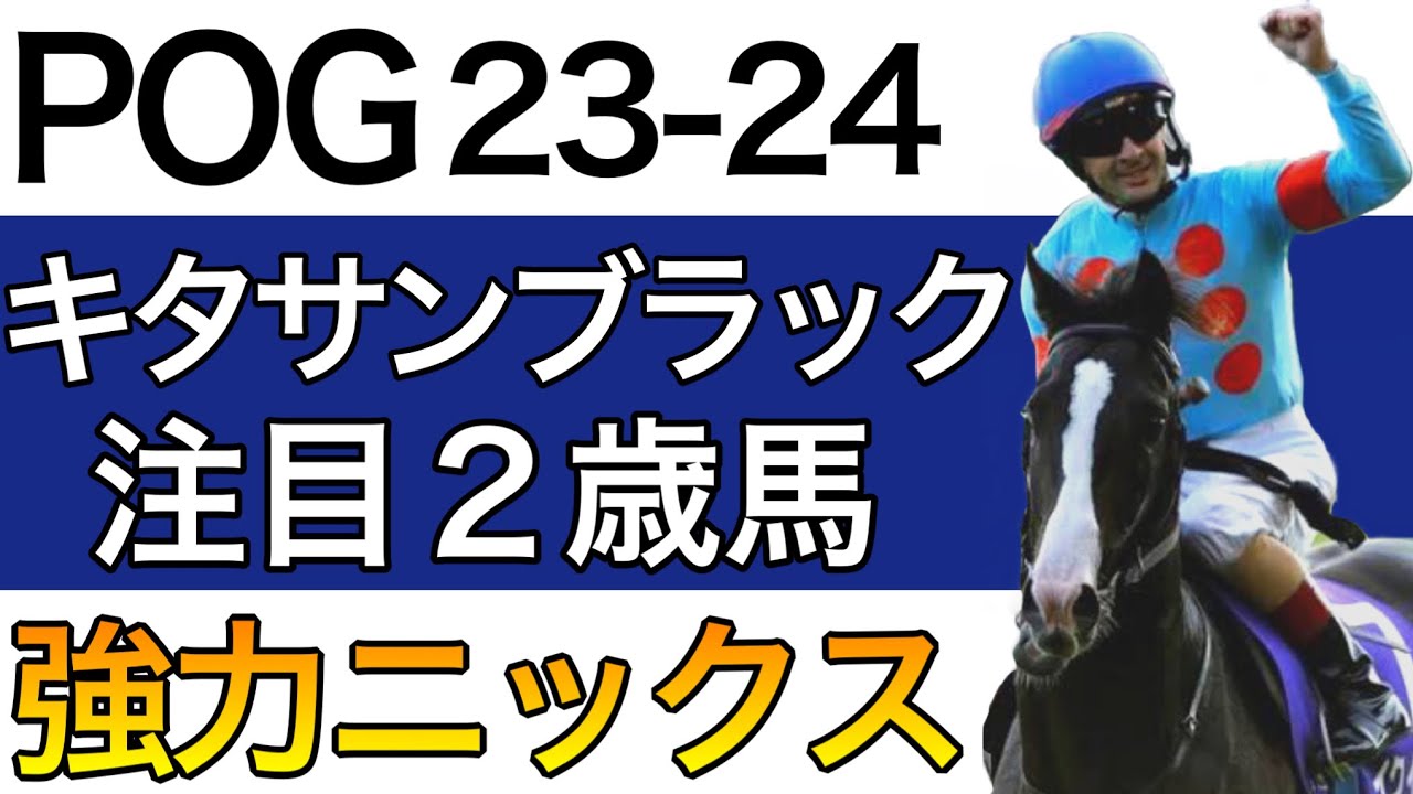 【POG/23-24】キタサンブラック産駒の注目２歳馬をリストアップ！【強力ニックス／次シーズン向け】