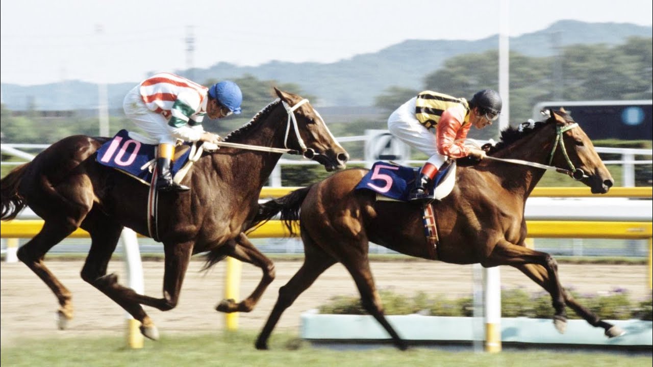 第４３回　優駿牝馬（オークス）　シャダイアイバー　牝３　55　加藤和宏　1982.5.23　　出走馬：リーゼングロス、ユーセコクイン、メジロカーラ、サクラカナリヤ、ヤマノシラギク他