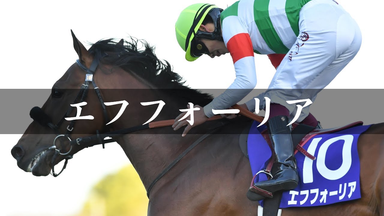 【引退馬メモリアル】エフフォーリア【競馬】