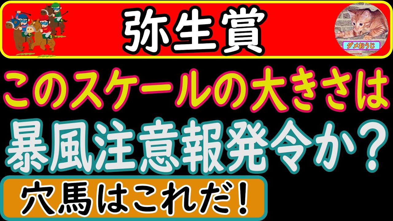 弥生賞2023年の穴馬を探そう！ポイントはスケールの大きな馬です