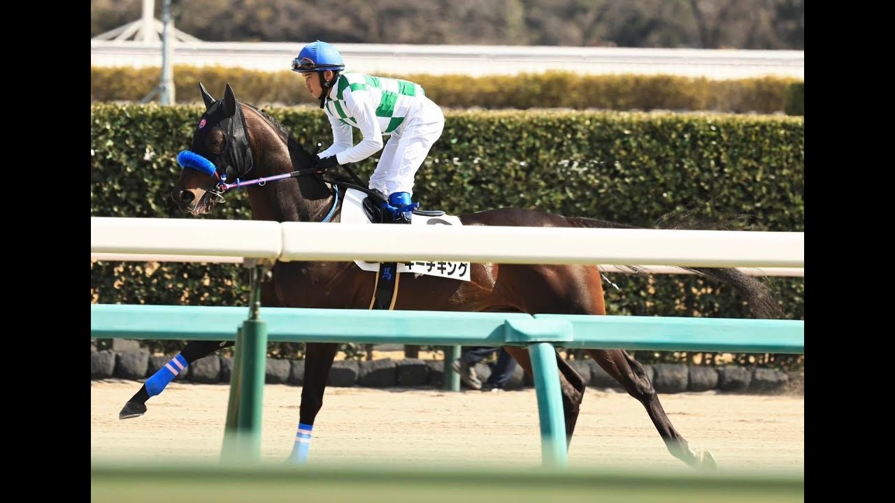 JRA佐藤翔馬　2023年3月4日中山競馬場　第7Rキーチキング号　現地映像