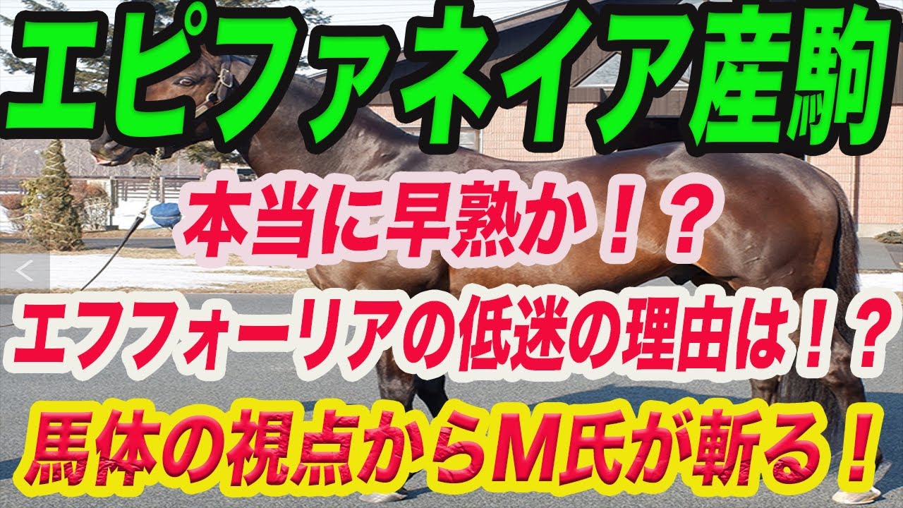 【 エピファネイア産駒は本当に早熟なのか！？】馬体を見るM氏の視点でエピファネイア産駒の早熟説、エフフォーリアの低迷も馬体から解説します！