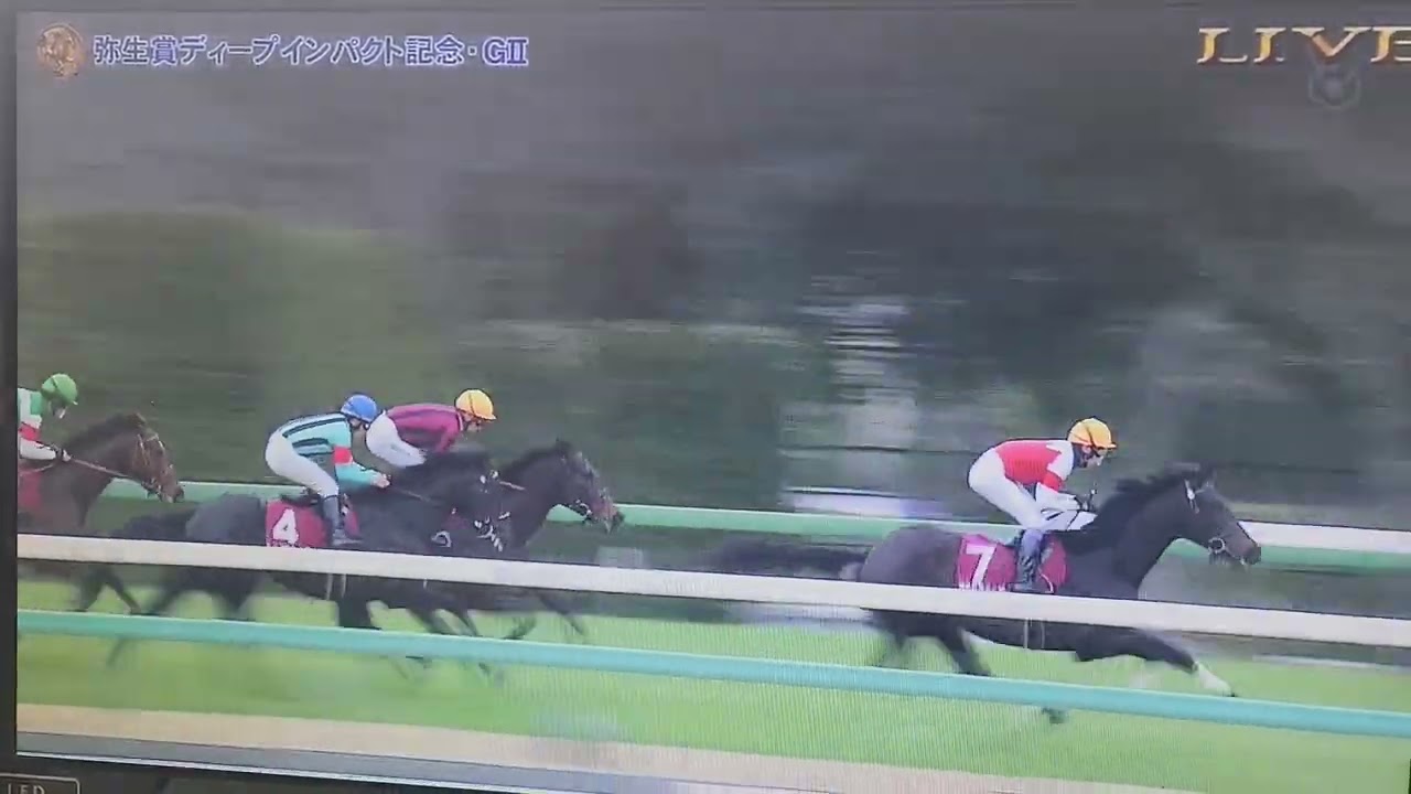 今日の動画は中山11レース弥生賞芝2000メートル父シルバーステート産駒ゴッドファーザー結果武豊逃げる