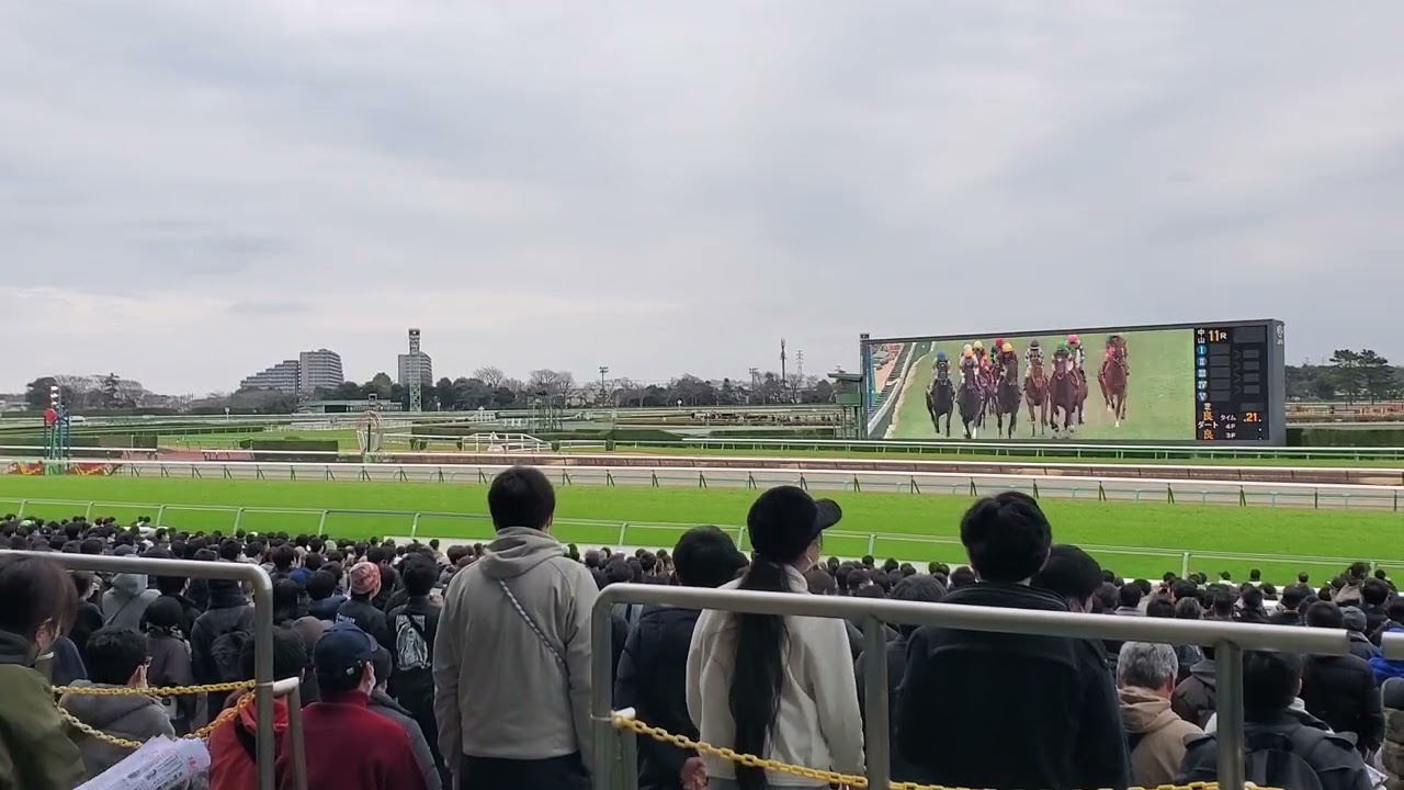 第60回報知杯弥生賞ディープインパクト記念2023