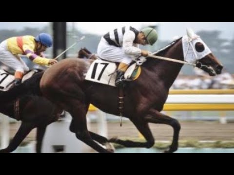 第４９回　東京優駿（日本ダービー）　バンブーアトラス　牡３　57　岩元市三　1982.5.30　　出走馬：ワカテンザン、アズマハンター、ハシローディー、トウショウペガサス、ホリスキー、スナークアロー他