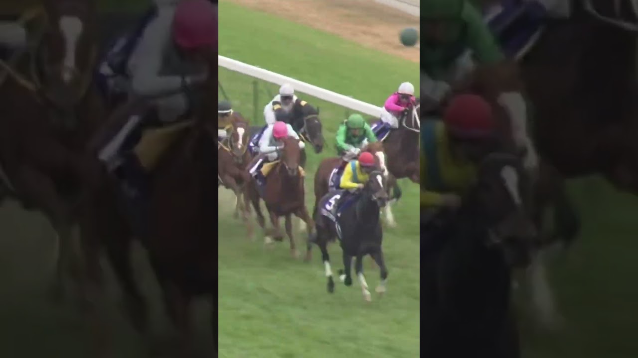 VODKA: two-time Japanese Horse of the Year and winner of the 2009 Japan Cup #ウオッカ #競馬