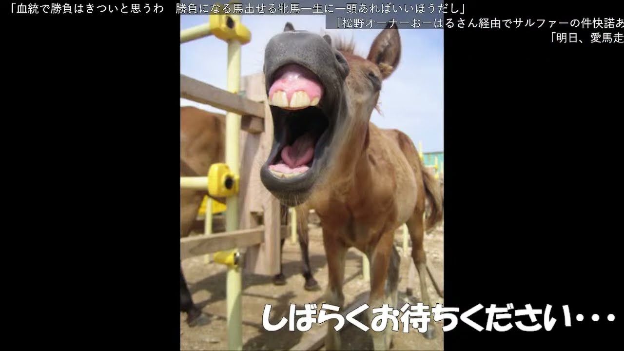 【ダービー馬主】元無職の地方競馬【そして伝説へ】