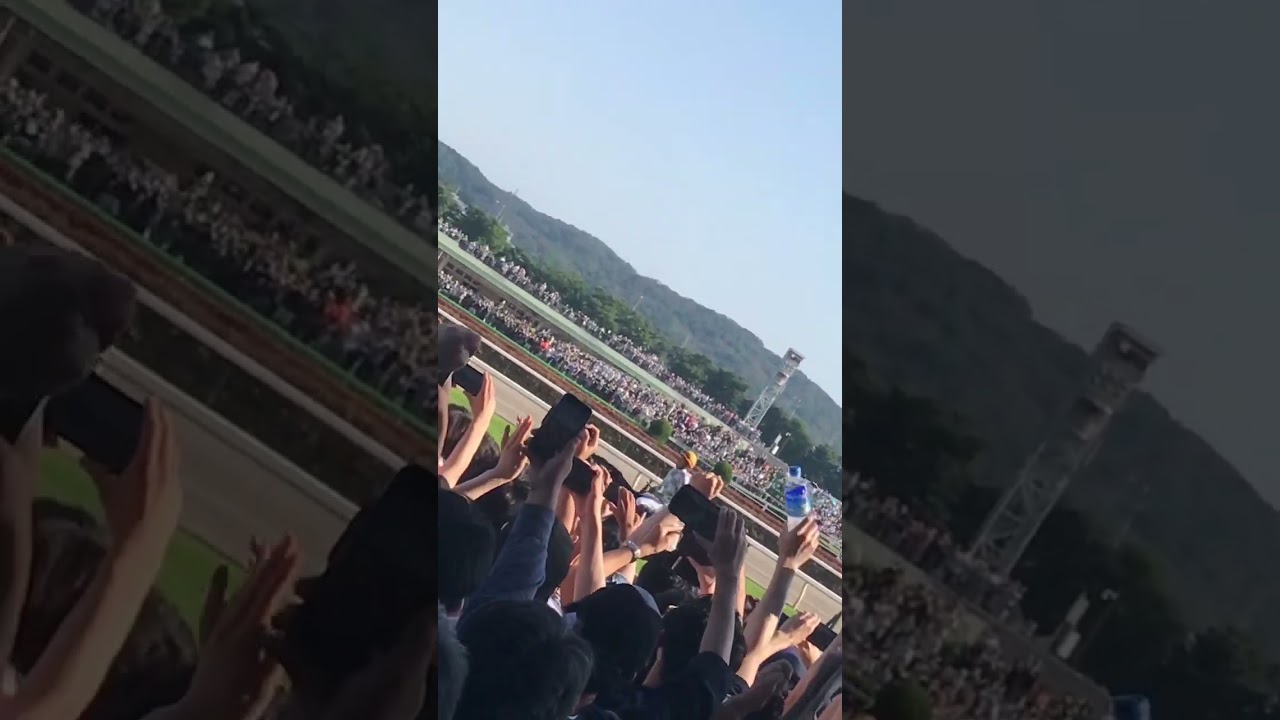 ドウデュースと武豊 #ダービー #東京優駿 #競馬 #競馬予想 #武豊 #こしゃまる #shorts