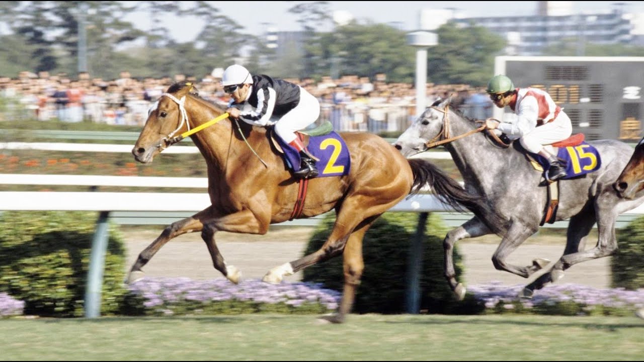 第４２回　皐月賞　アズマハンター　牡３ 57 中島啓之　1982.4.18　　出走馬：ワカテンザン、アサカシルバー、エリモローラ、イーストボーイ、ロングヒエン、アスワン、ハギノカムイオー他