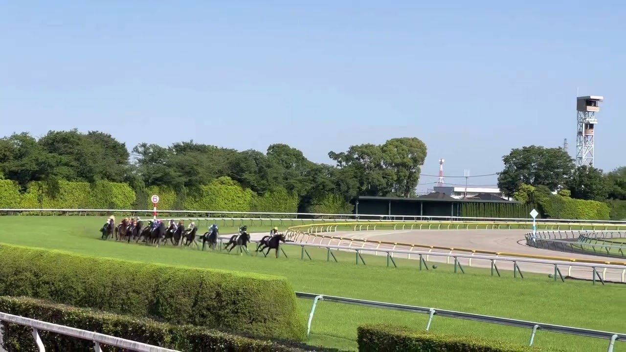 2022日本ダービー4コーナー🏇