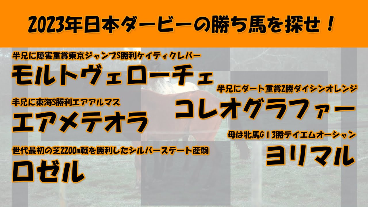 2023年日本ダービー馬を探せ！#36　モルトヴェローチェ、エアメテオラ、ロゼル、コレオグラファー、ヨリマルを注目馬として取り上げました。