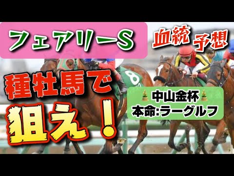 【フェアリーステークス2023】本命メイクアスナッチ！3つの血統から見えた注目の種牡馬！絶対買うべき2頭を紹介！