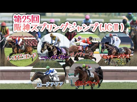 【競馬障害レース予想】第25回阪神スプリングジャンプ(JGⅡ) 有力馬10診断