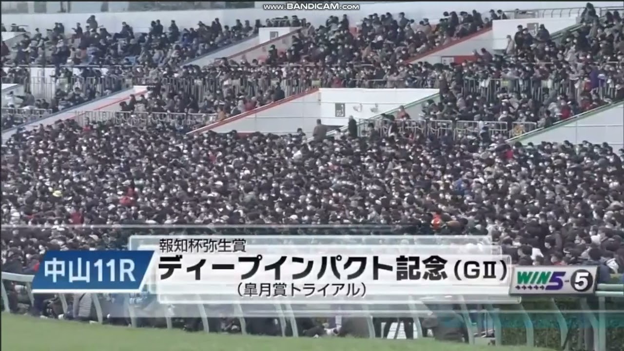 2023年 弥生賞ディープインパクト記念（GII）ファンファーレ
