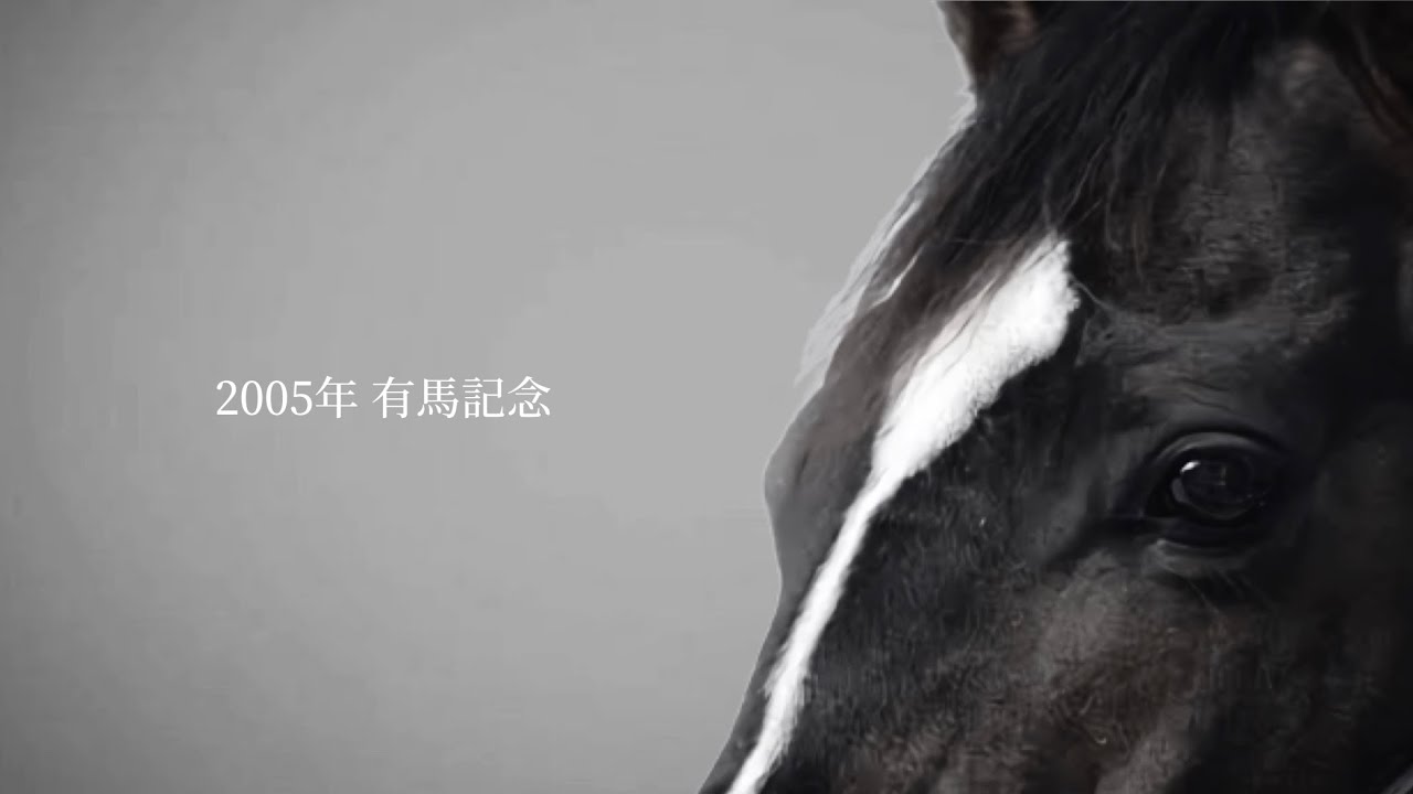 ハーツクライ 有馬記念 JRA CM風