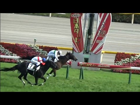 日本ダービー　1着ロジャーバローズ号（浜中俊騎手）&生ファンファーレ（個人撮影）2019年5月26日（日）東京競馬場