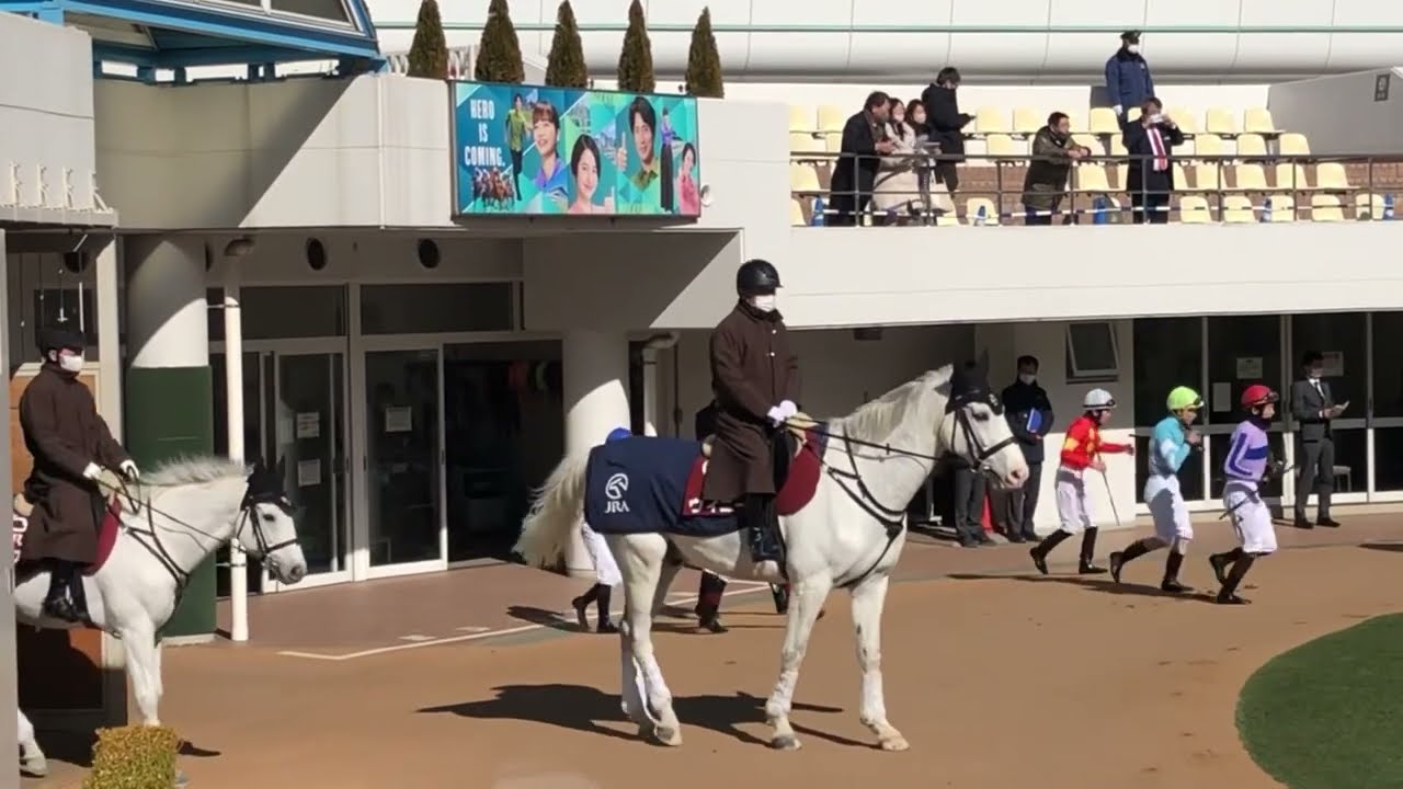中山競馬場の誘導馬 ウィニー、ホワイトフリート、スリープレッピー
