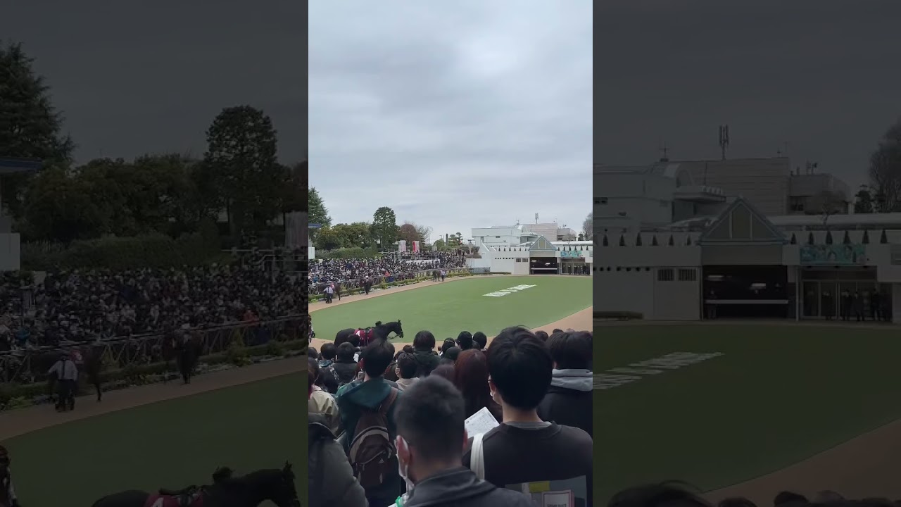報知杯弥生賞ディープインパクト記念（皐月賞トライアル）パドック